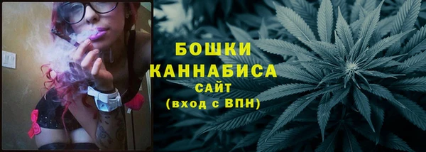 хмурый Дмитров