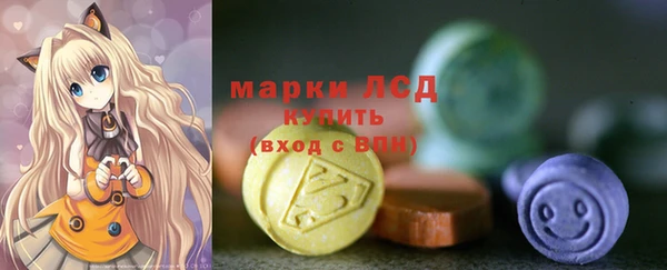 хмурый Дмитров