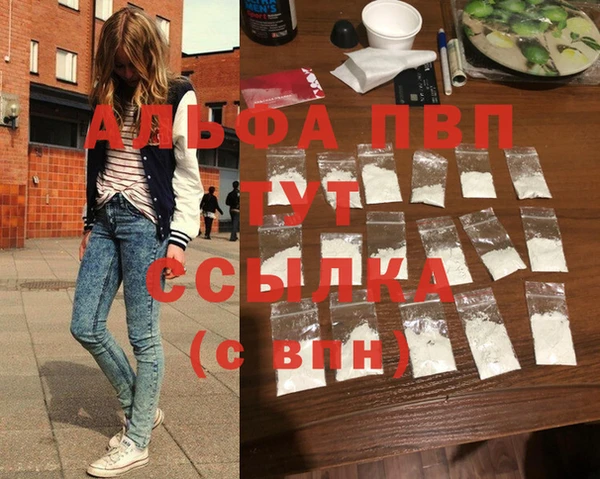 хмурый Дмитров