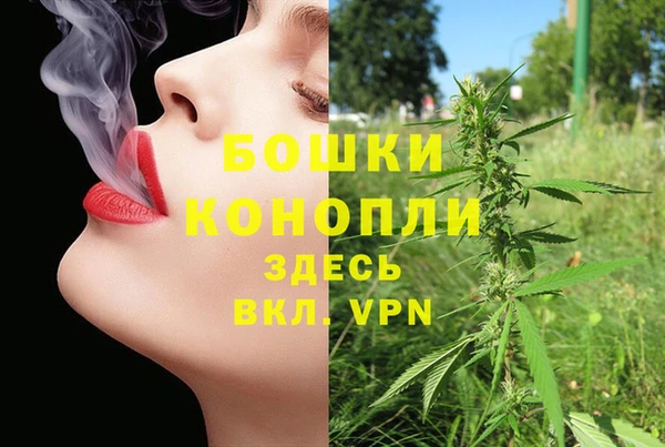 хмурый Дмитров
