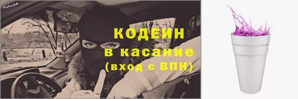 хмурый Дмитров