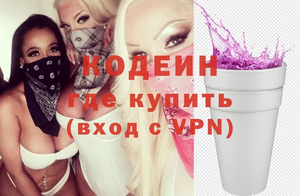 хмурый Дмитров