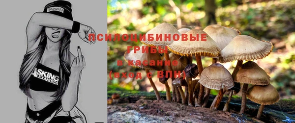 хмурый Дмитров