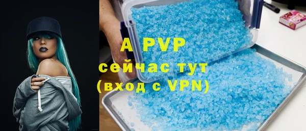 хмурый Дмитров