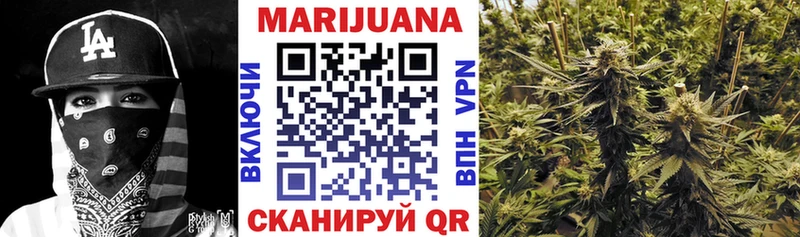 Бошки Шишки планчик Зеленодольск
